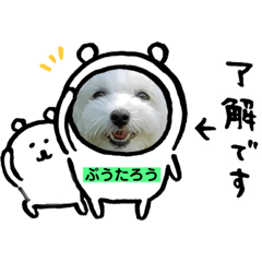 ぷうたろうでございます。No.6