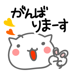 かわいいネコ 顔だけ！