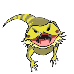 かわいいエキゾチックアニマルズ