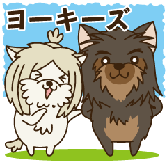 ヨーキーズ(ITエンジニア向け)