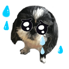 うちのみんちゃん♪②