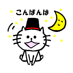 ニャータンの日常生活