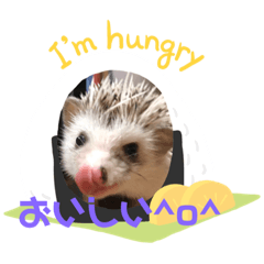 ハリネズミのつむぎちゃん