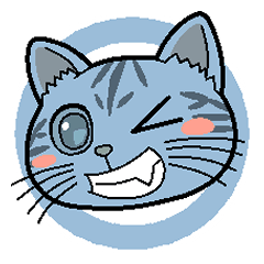 色々な表情の猫たち