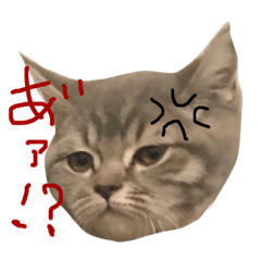 僕はマヨネーズ