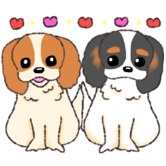 愛すべき♥キャバリアちゃんふれんず①