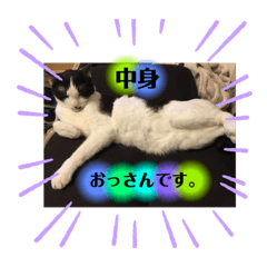 宇宙のこしゅも2