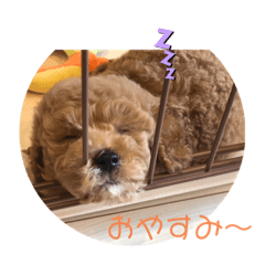 こむぎスタンプ１