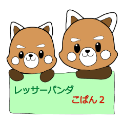 レッサーパンダ こぱん 2