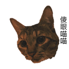 Only myself_20210215225021