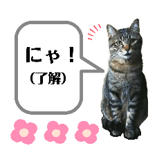 トラ君ちスタンプ