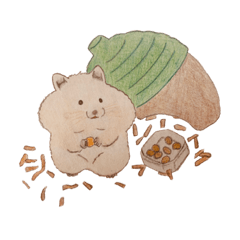 ハムスターのまろんとぷっぷ