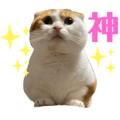 スコ・マンチのイート君⭐︎