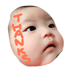 ぴよりんズ！！