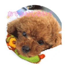 コロンの可愛いスタンプ♡