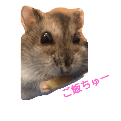 ハムちゃんとみーちゃん