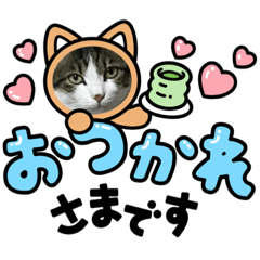 いろいろ使える、日常ネコちょこスタンプ2