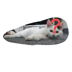 犬猫日常系スタンプ