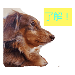 あずきな家族LINE用スタンプ