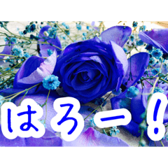 バラのお花（薔薇、ばら）2