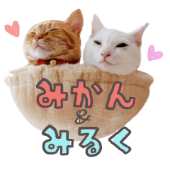 みかん&みるく　ねこちゃん