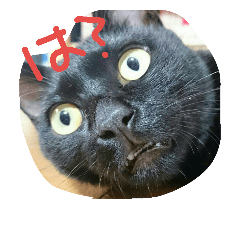 俺のこと知ってるかい？