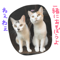 はなことさくら