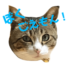 ごえもん日和　13