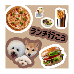 まみの友達くんの犬くん