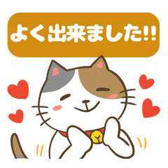 褒めまくる！三毛猫さんと黒白猫さん