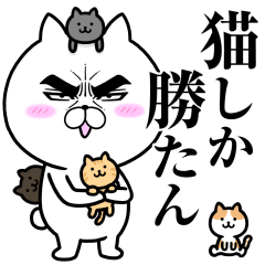 目ヂカラ☆にゃんこ22【猫しか勝たん】