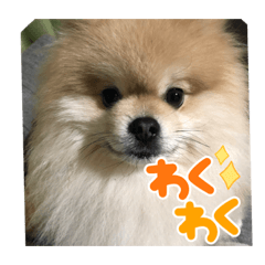 モコちゃんシーズン2