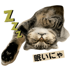 猫のレオンスタンプ