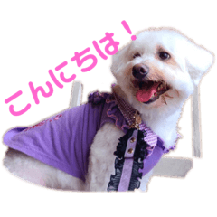 ルイくんの毎日♡