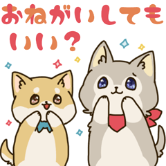 うるうる目でお願いするいぬ