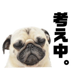 パクボスミン②