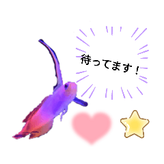 おさかなだよ～!