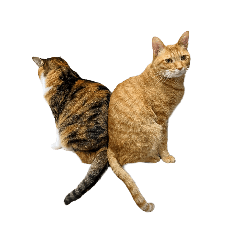 ちまくさスタンプ