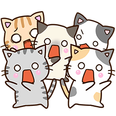 毎日楽しい☆おちゃめなネコたち