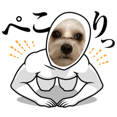 ワンチャン物語！