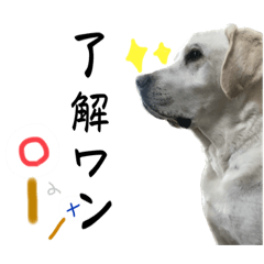 使いやすい白ラブルークスタンプ