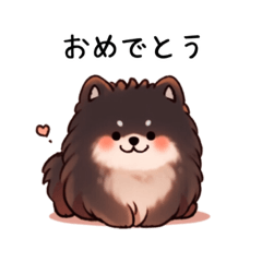 マロ眉のポメラニアン