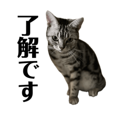 ロイちゃんスタンプ03