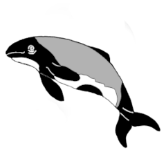 うみのいきものといっしょ