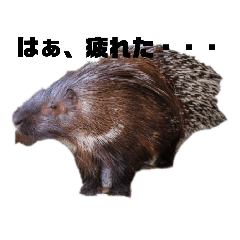 ゆるふわヤマアラシ君スタンプ