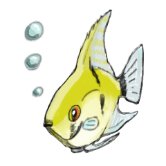 エンゼルフィッシュのきもち