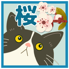 ハチワレぶーにゃんのお花見行こう