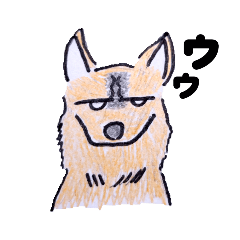 あなたの身近にいるこんな犬