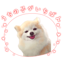 ぽめちわもか２