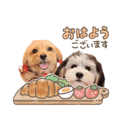 きなこファミリー親バカスタンプ　2